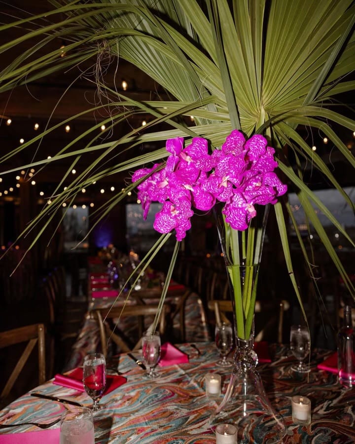 Calypso at a Windy City Linen event