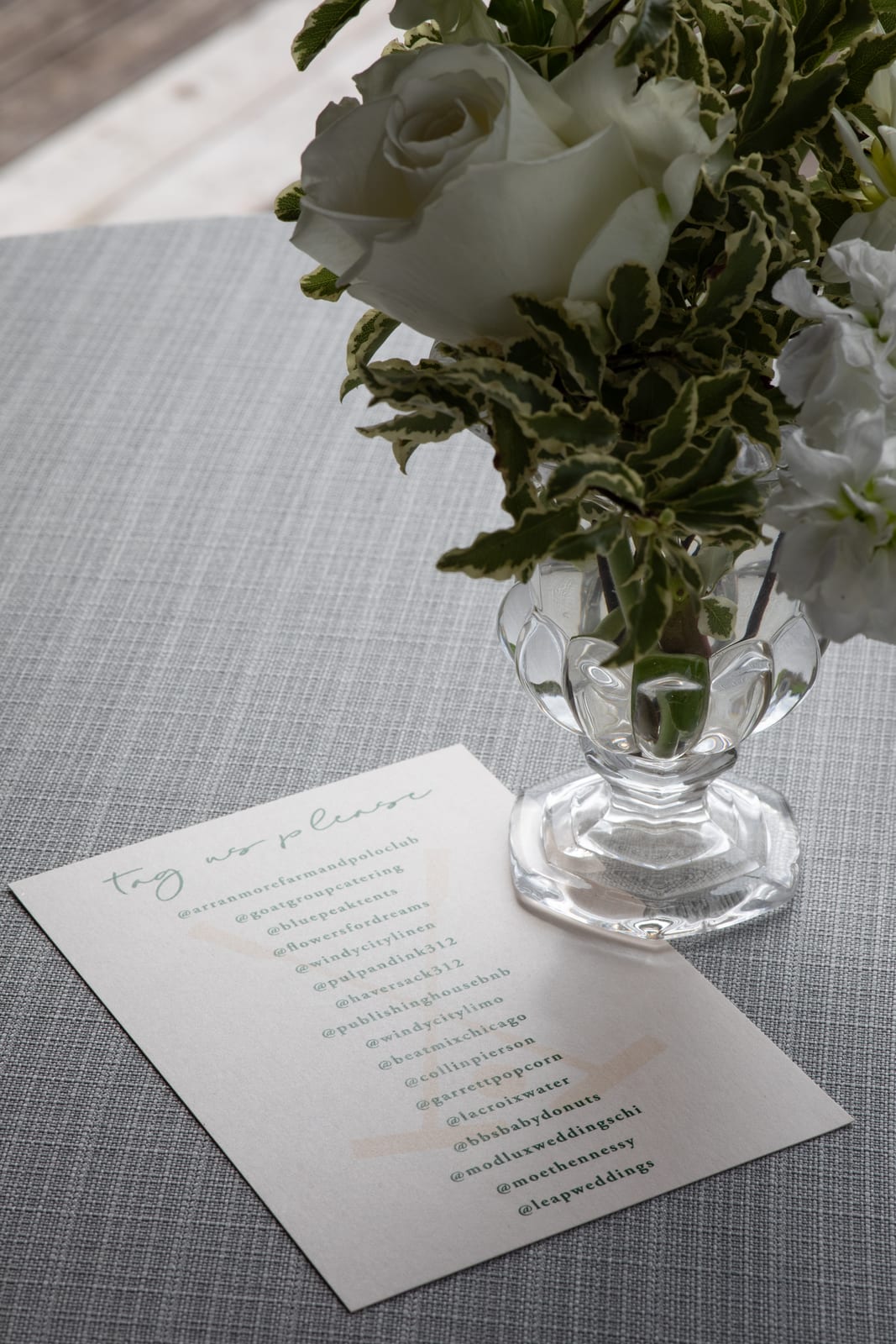 Jute Dove at a Windy City Linen event