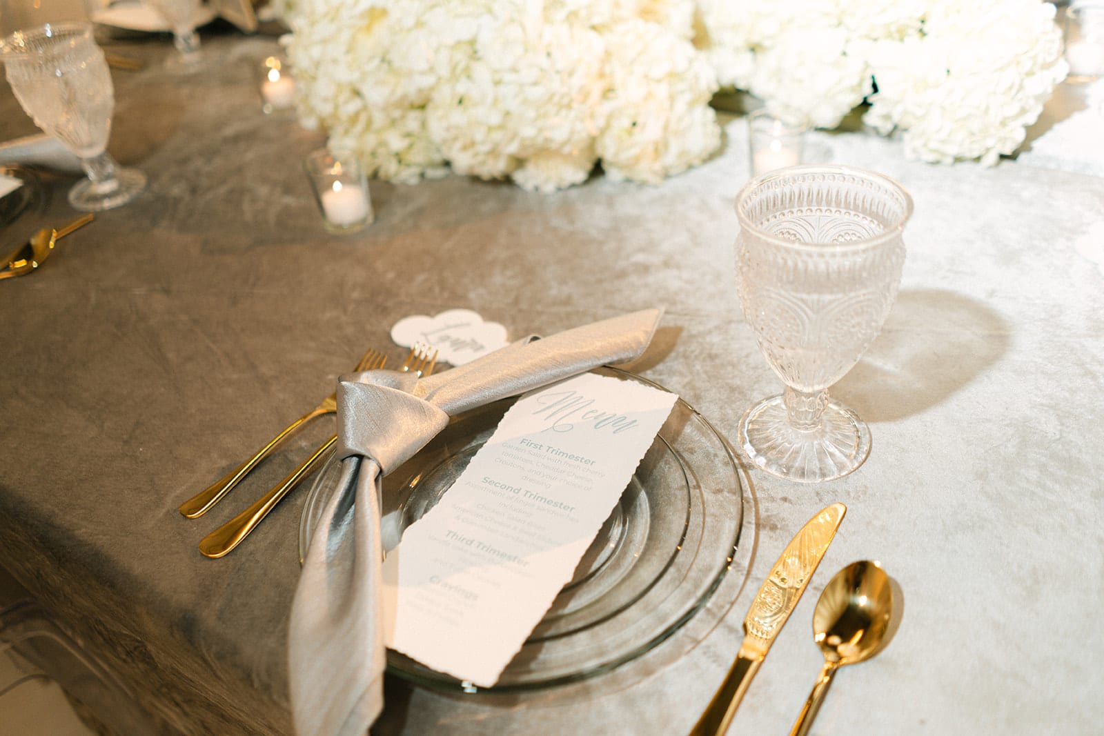 Velvet Ivory at a Windy City Linen event