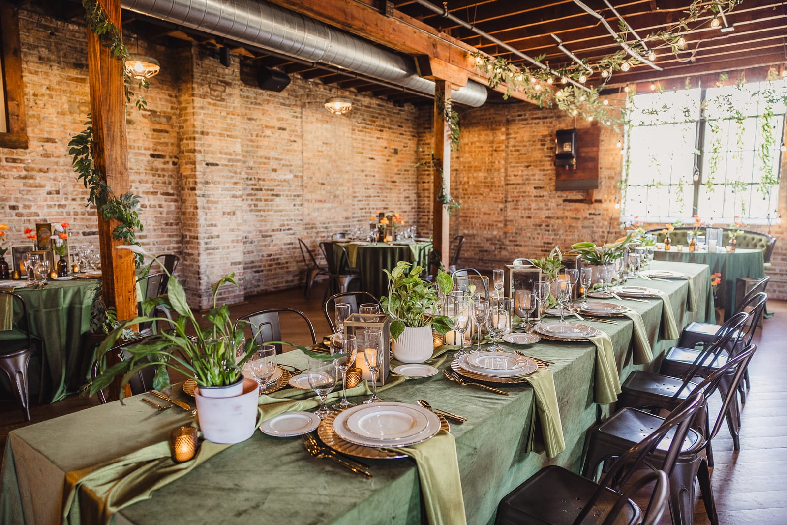 Velvet Loden at a Windy City Linen event