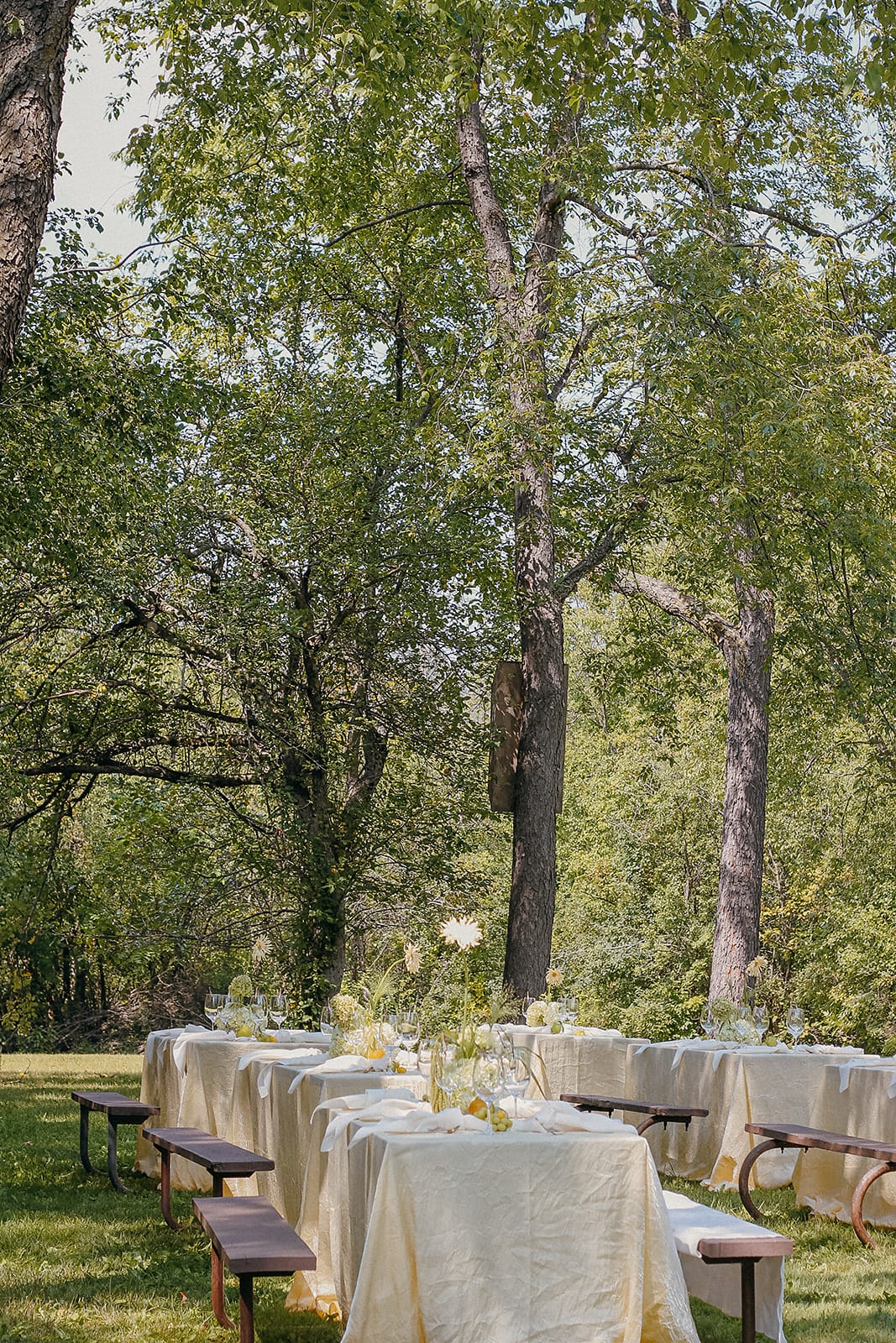 Willow Gingham Mini Check at a Windy City Linen event