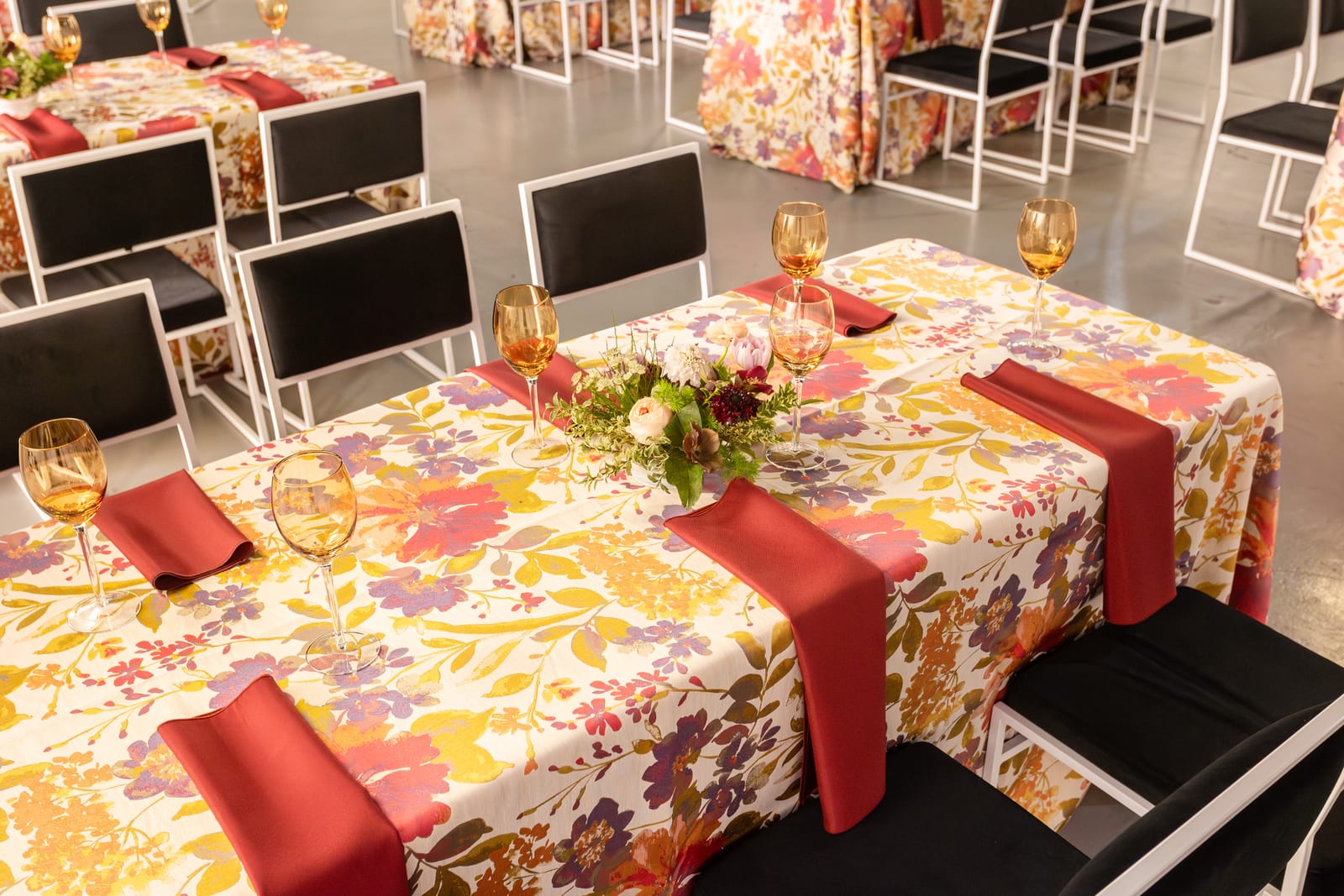 Romeo at a Windy City Linen event